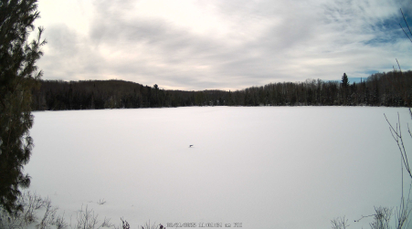 Image from 2025-02-21