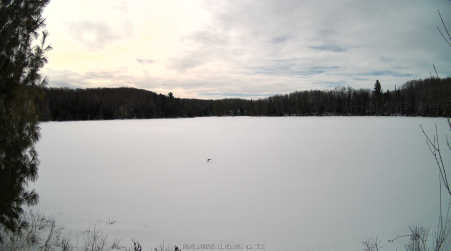 Image from 2025-02-21