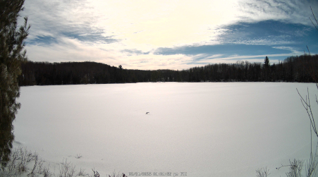 Image from 2025-02-21