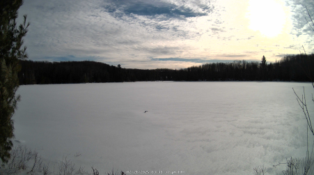 Image from 2025-02-21