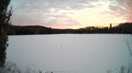 Image from 2025-02-21