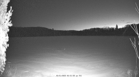 Image from 2025-02-21