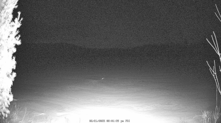Image from 2025-02-21