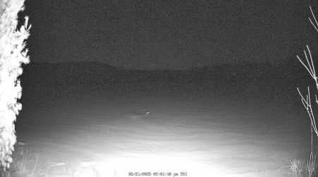 Image from 2025-02-21