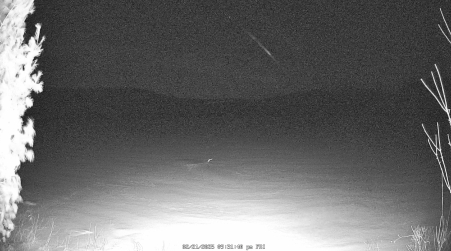 Image from 2025-02-21