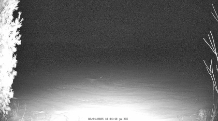 Image from 2025-02-21