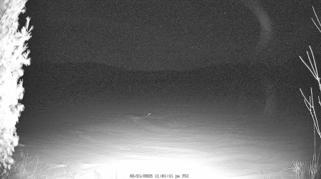 Image from 2025-02-21