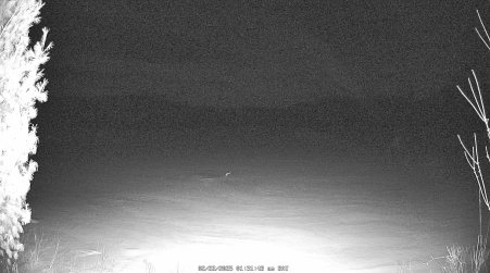 Image from 2025-02-22