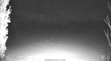 Image from 2025-02-22