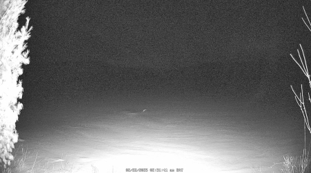 Image from 2025-02-22