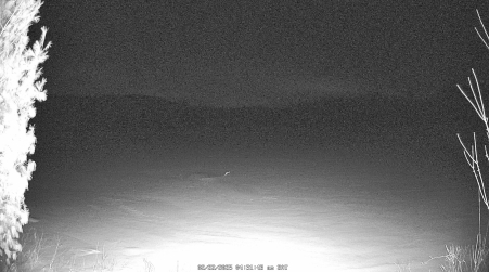 Image from 2025-02-22