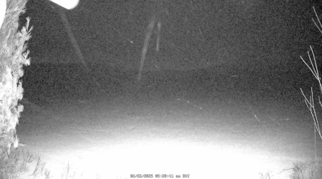 Image from 2025-02-22