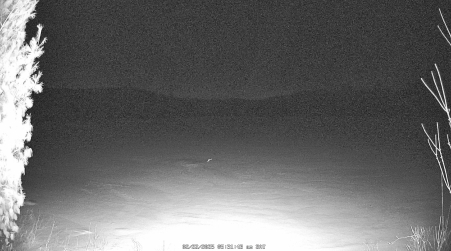 Image from 2025-02-22