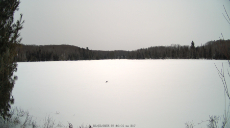 Image from 2025-02-22