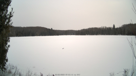 Image from 2025-02-22