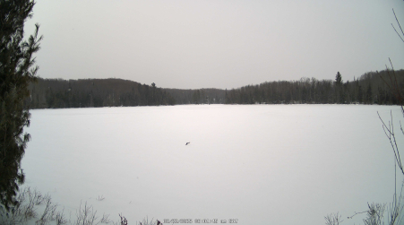 Image from 2025-02-22