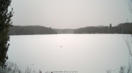 Image from 2025-02-22