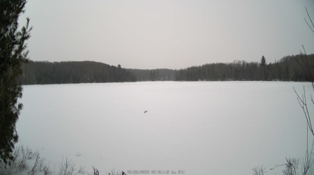 Image from 2025-02-22