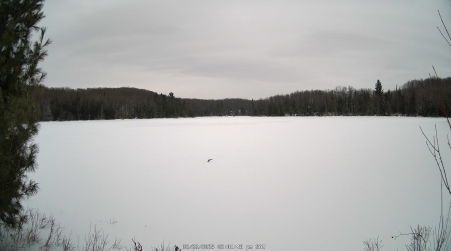 Image from 2025-02-22