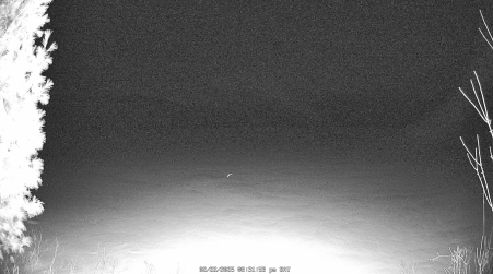 Image from 2025-02-22