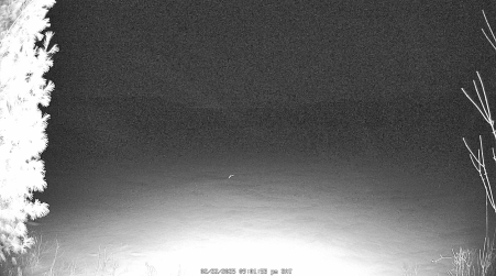 Image from 2025-02-22