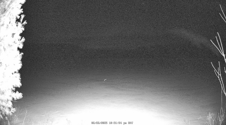 Image from 2025-02-22
