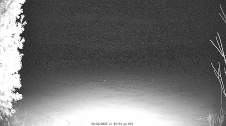 Image from 2025-02-22