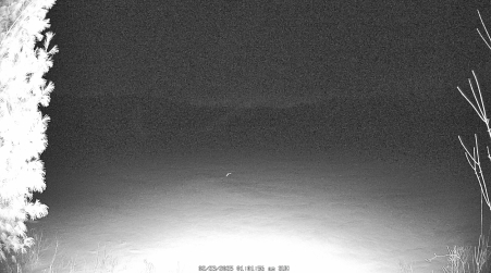 Image from 2025-02-23