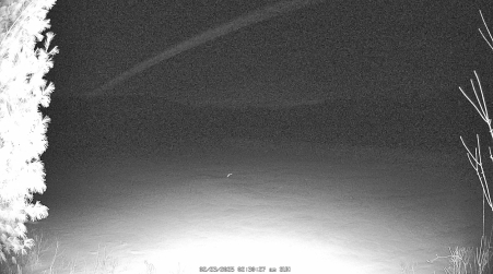 Image from 2025-02-23