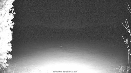 Image from 2025-02-23