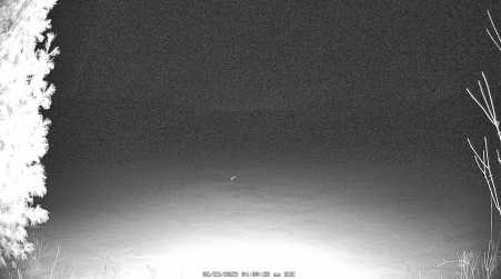 Image from 2025-02-23
