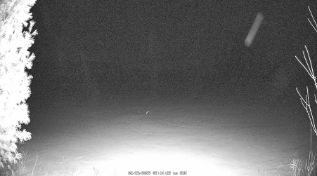 Image from 2025-02-23