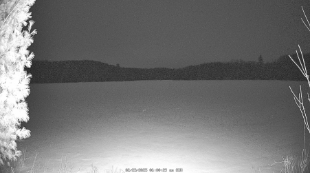 Image from 2025-02-23