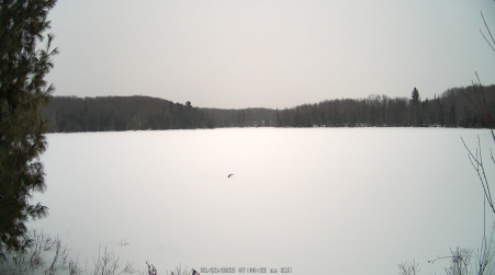 Image from 2025-02-23