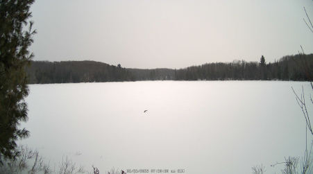 Image from 2025-02-23