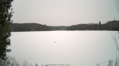 Image from 2025-02-23