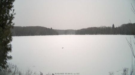 Image from 2025-02-23