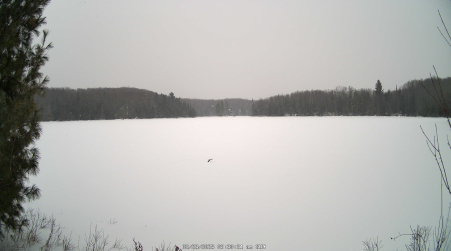 Image from 2025-02-23