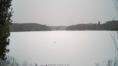 Image from 2025-02-23