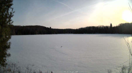 Image from 2025-02-23