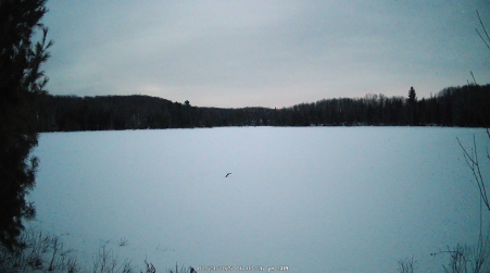 Image from 2025-02-23