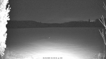 Image from 2025-02-23