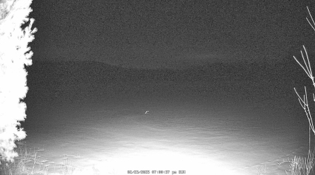 Image from 2025-02-23