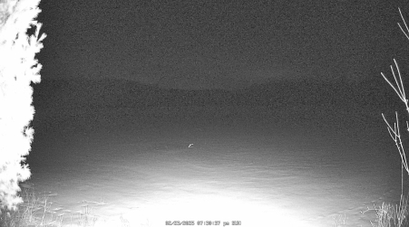 Image from 2025-02-23