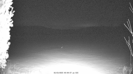 Image from 2025-02-23