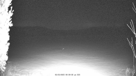 Image from 2025-02-23