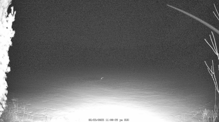 Image from 2025-02-23