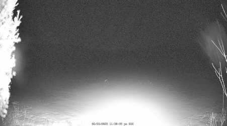 Image from 2025-02-23