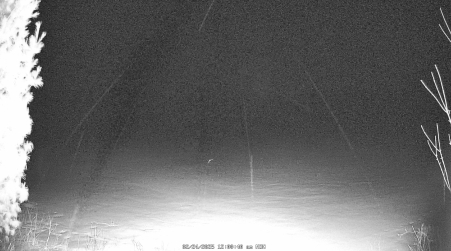 Image from 2025-02-24