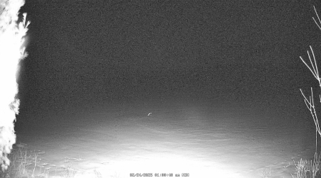 Image from 2025-02-24